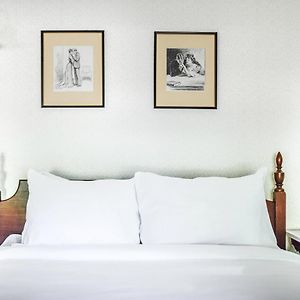 Petite Lodge Economy Queen Room